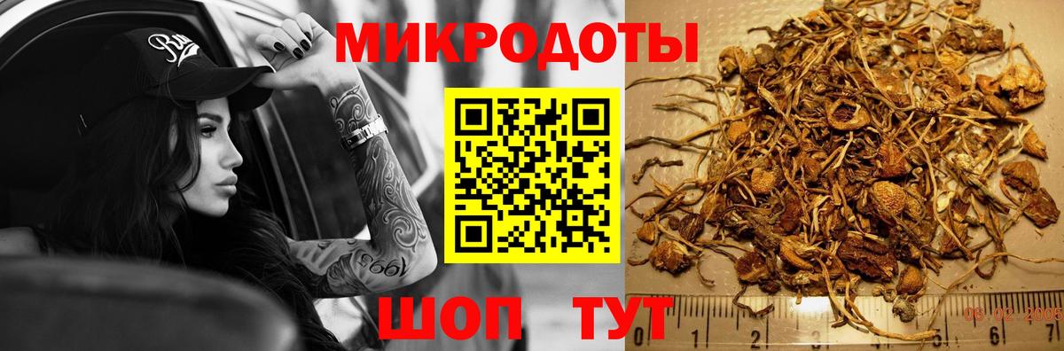 Минеральные Воды  Псилоцибиновые грибы мицелий  Вход с VPN 
